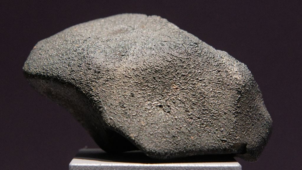 Scientists found the building blocks of DNA and RNA in several meteorites, including the Murchison meteorite. (Image credit: Marie-Lan Taÿ Pamart, CC BY 4.0 , via Wikimedia Commons )